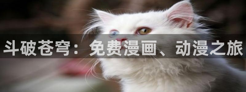 漫蛙漫画正版入口