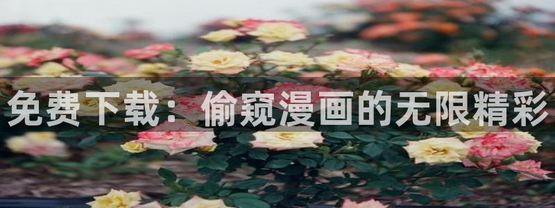 漫蛙漫画免费阅读在线观看：免费下载：偷窥漫画的无限精彩