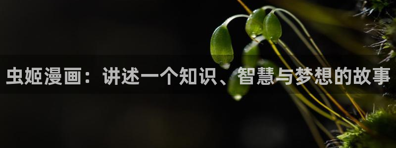 漫蛙漫画斗罗